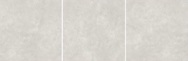 alexa-white-1200-1200-Detail